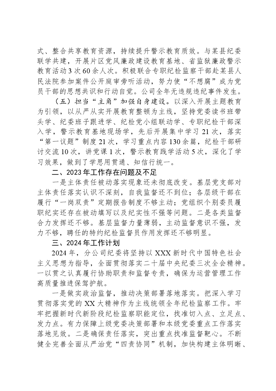 2023年度公司纪委述职述责述廉报告.docx,第2页预览