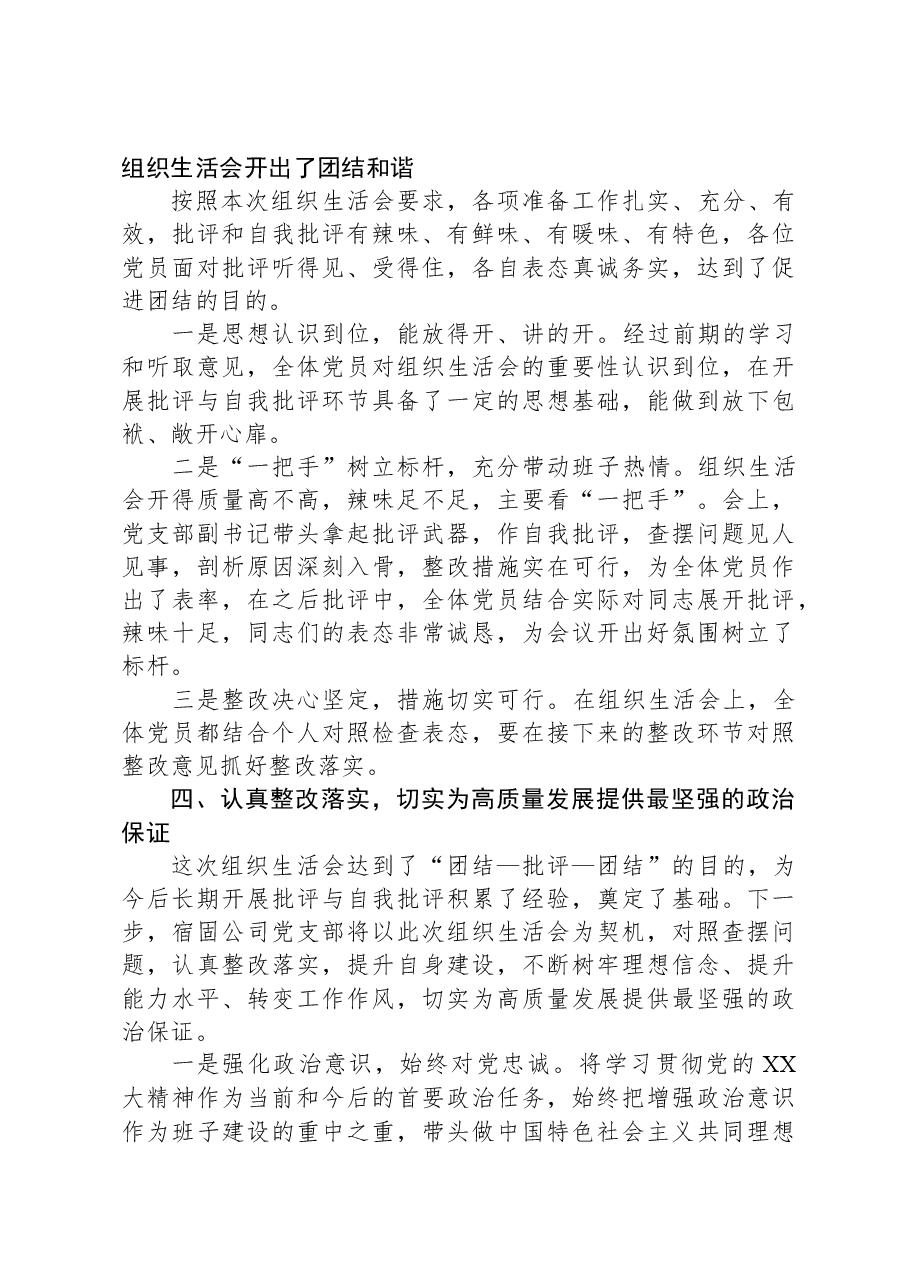 公司党支部2023年度组织生活会及民主评议党员开展情况报告.docx，第3页预览