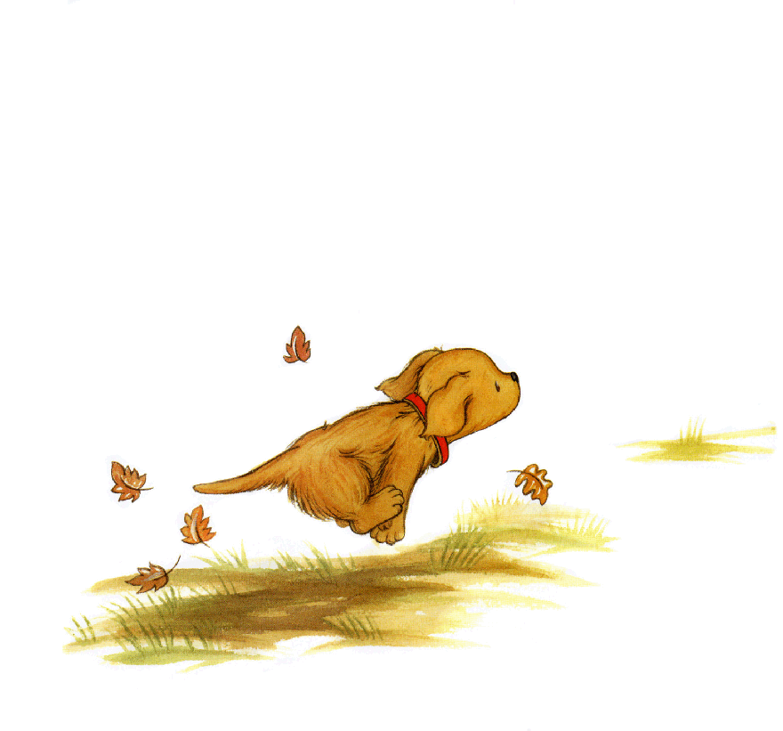 早教英语绘本Happy Thanksgiving,Biscuit.pdf,第3页预览