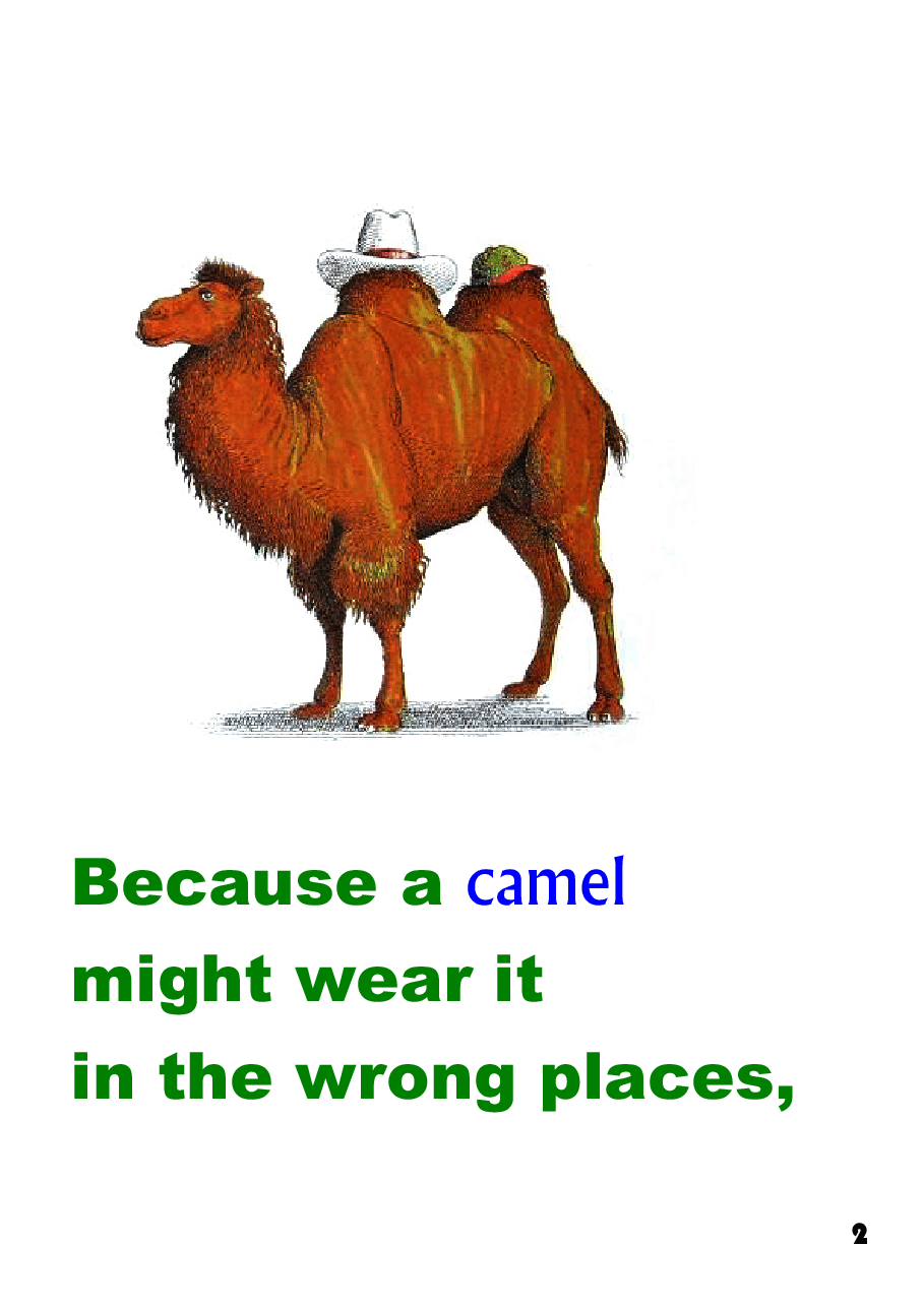 英文绘本创意教学animals_should_definitely_not_wear_clothing1.pdf，第4页预览