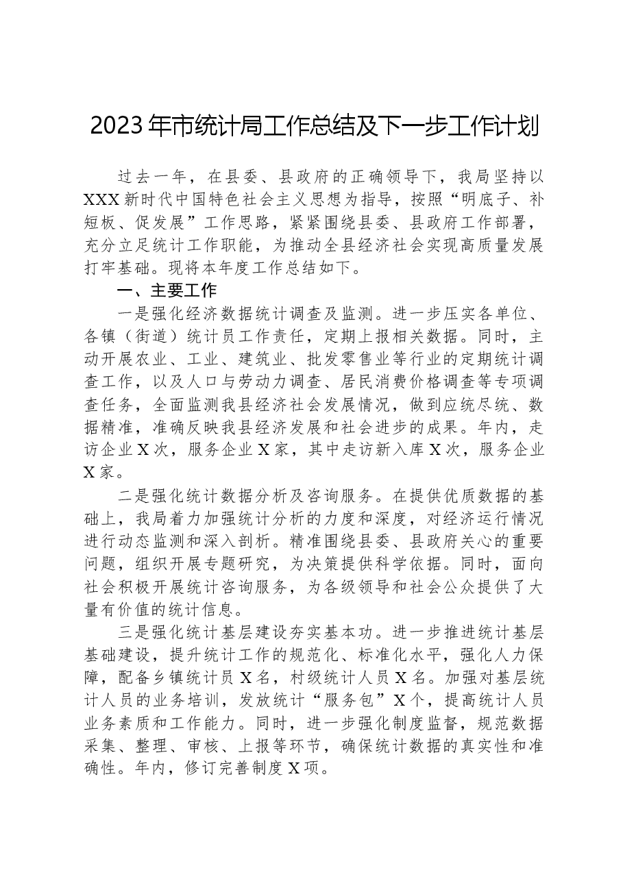 2023年市统计局工作总结及下一步工作计划.docx,第1页预览