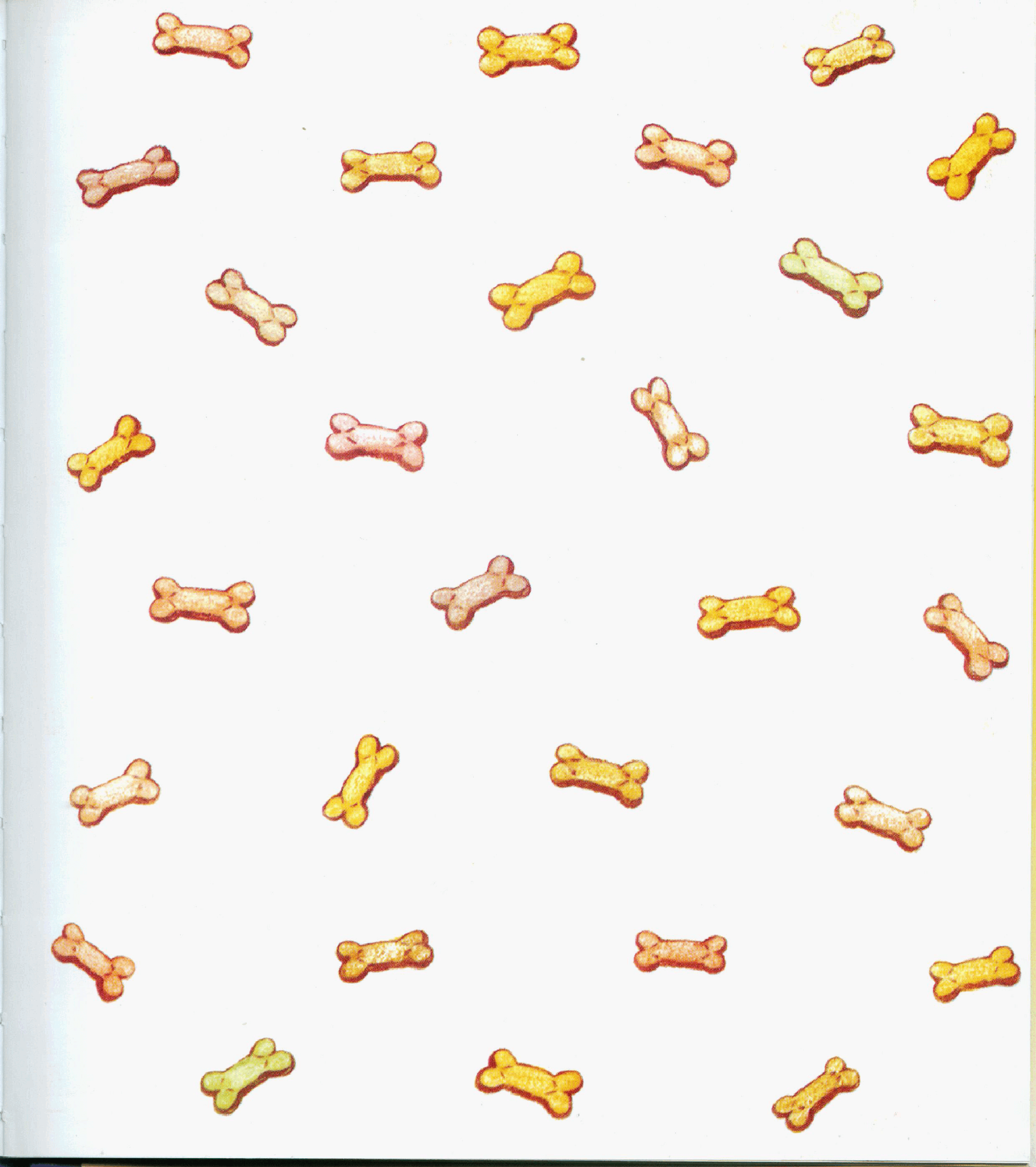 早教英语绘本Happy Birthday Biscuit.pdf,第3页预览