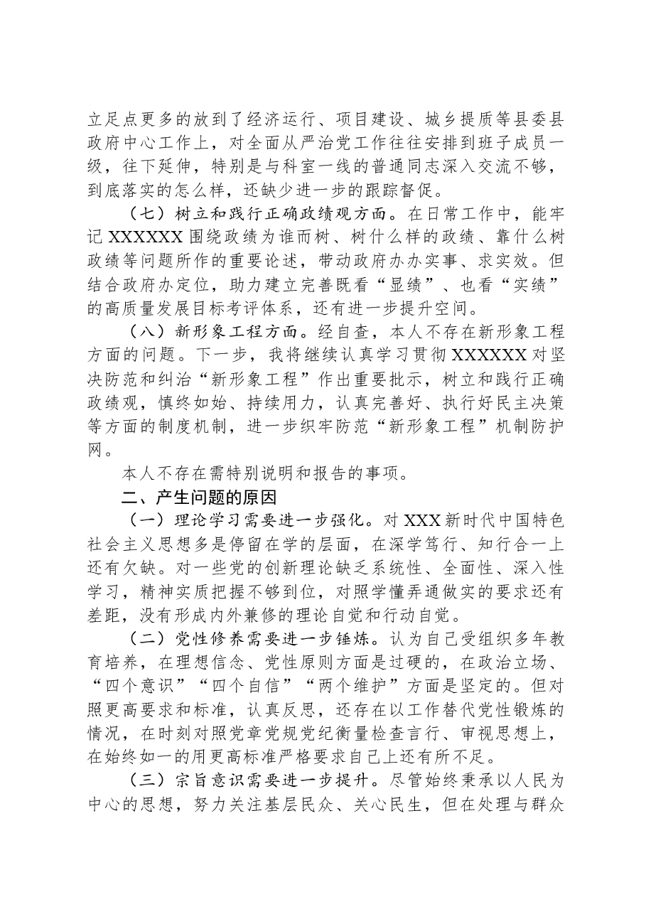县政府办公室主任在主题教育专题民主生活会上的个人发言提纲.docx,第3页预览
