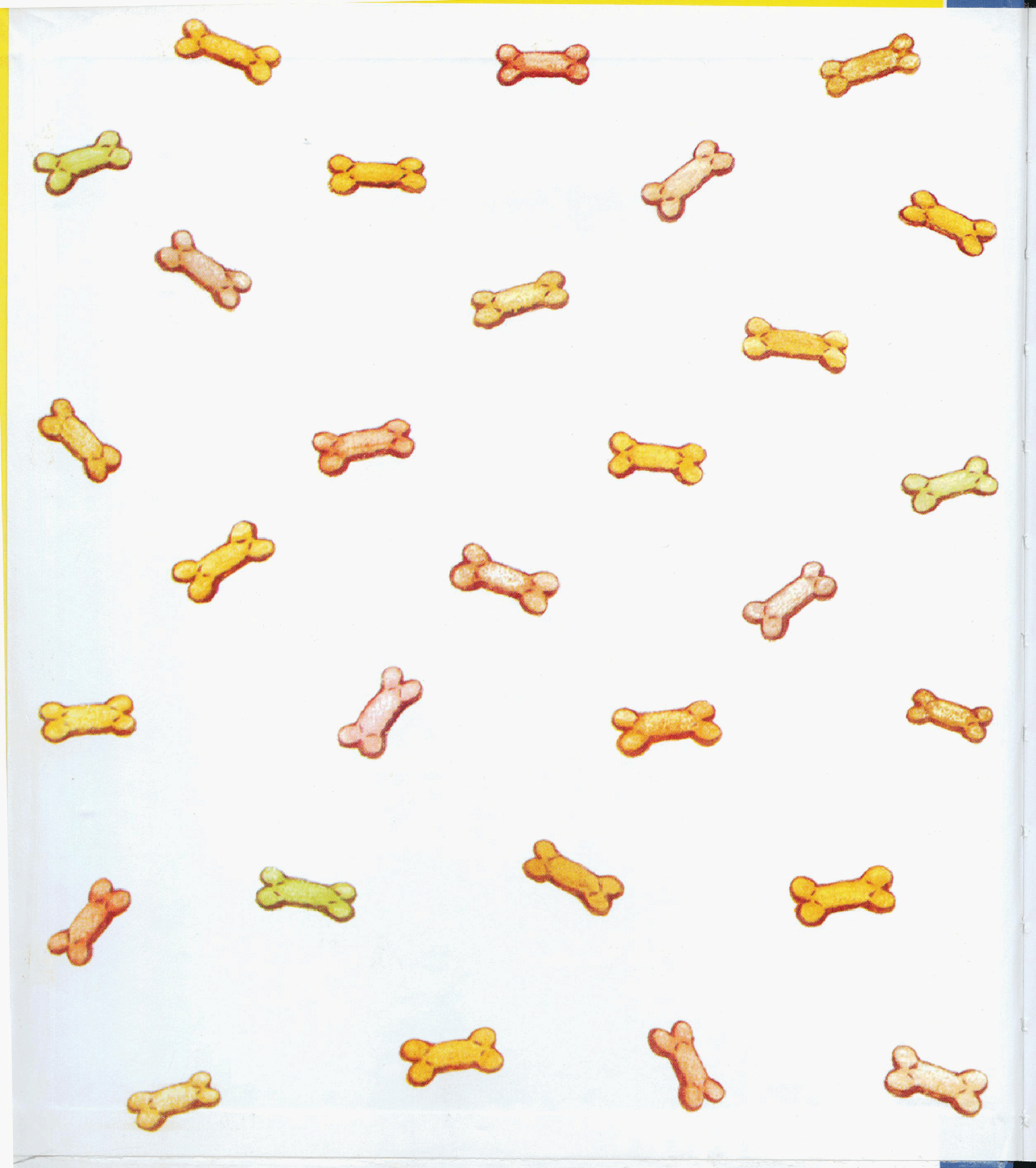 早教英语绘本Happy Birthday Biscuit.pdf,第2页预览