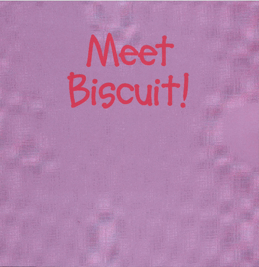 早教英语绘本Meet Biscuit.pdf,第3页预览