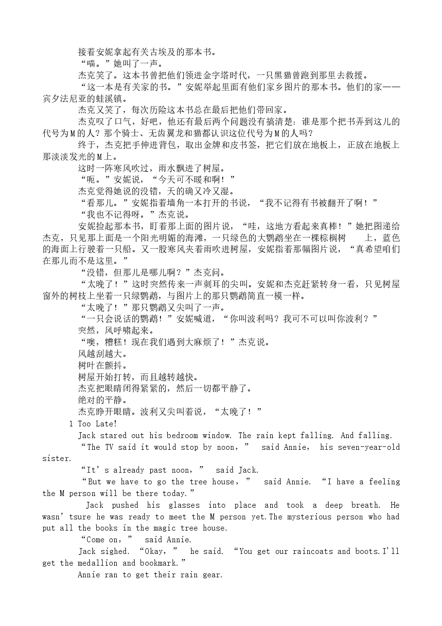 海盗的宝藏(第四章少汉语).doc,第2页预览