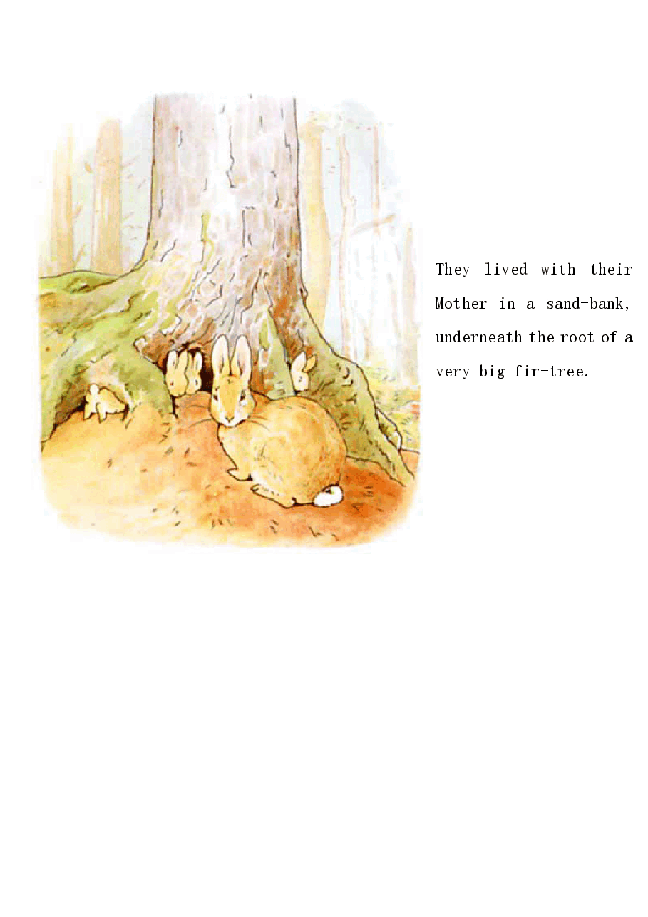 英语启蒙绘本阅读43 The Tale of Peter Rabbit.pdf,第3页预览