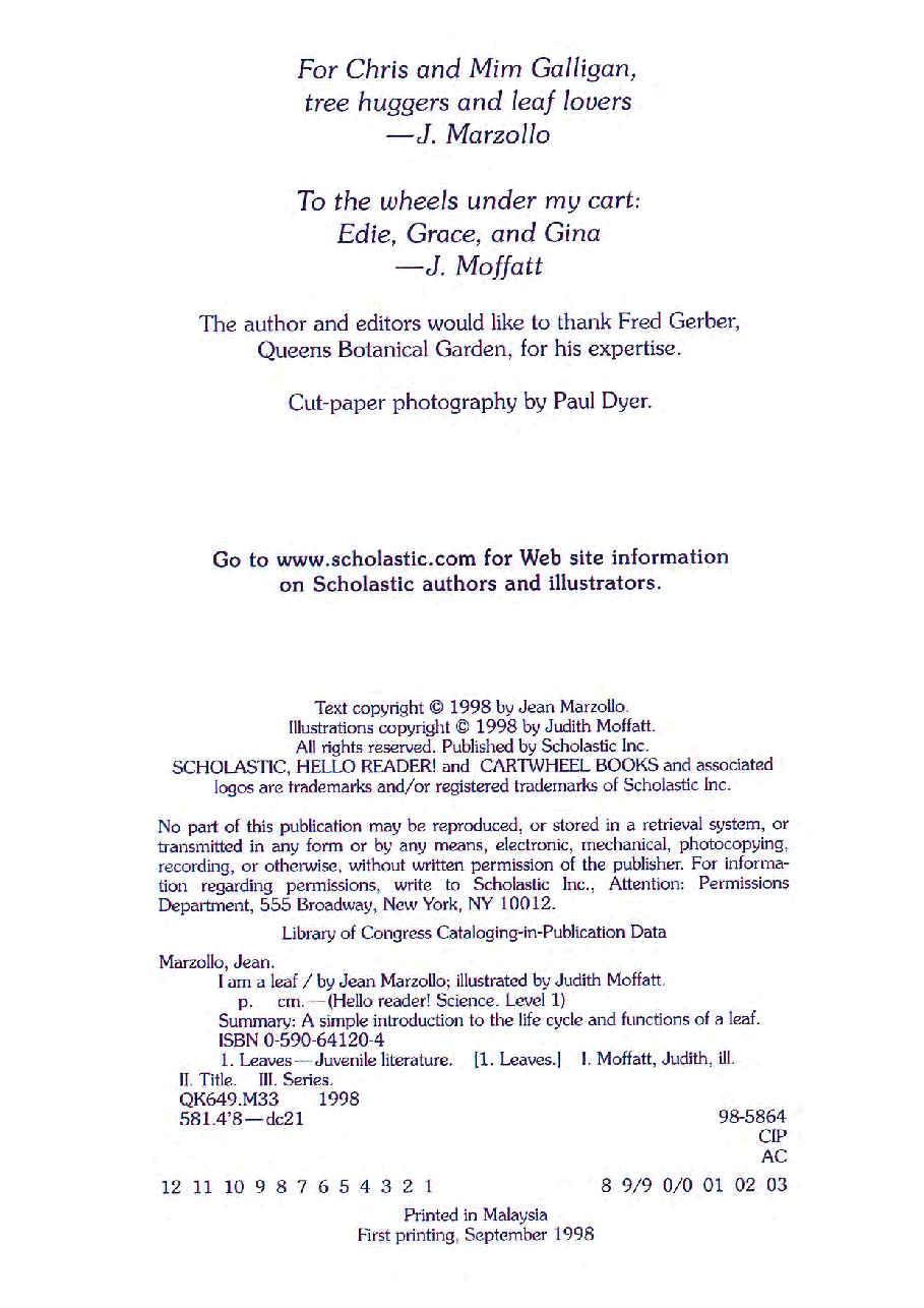 英语绘本08_Iam_a_leaf.pdf,第4页预览