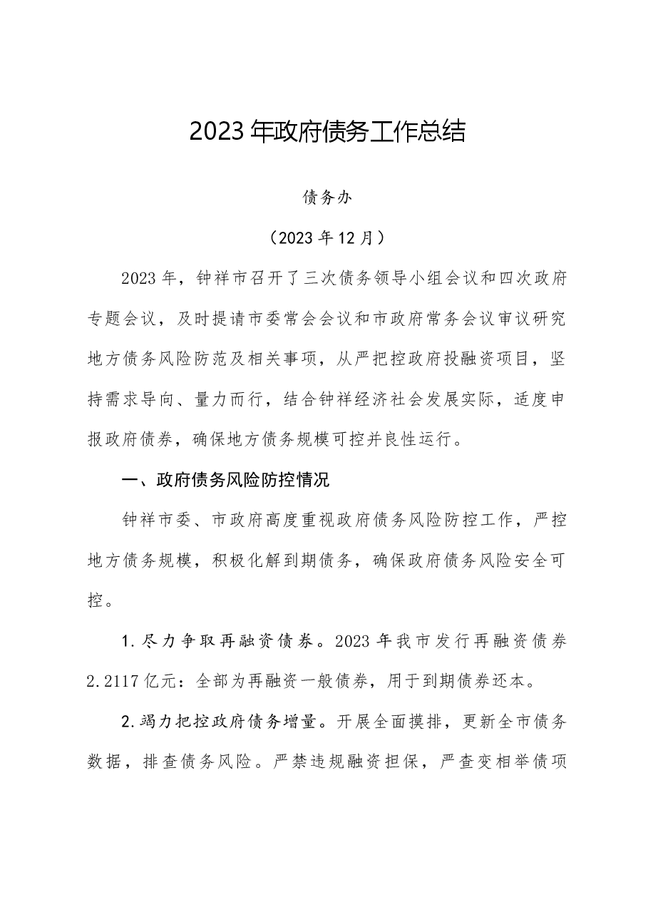 2023年政府债务工作总结.docx，第1页预览