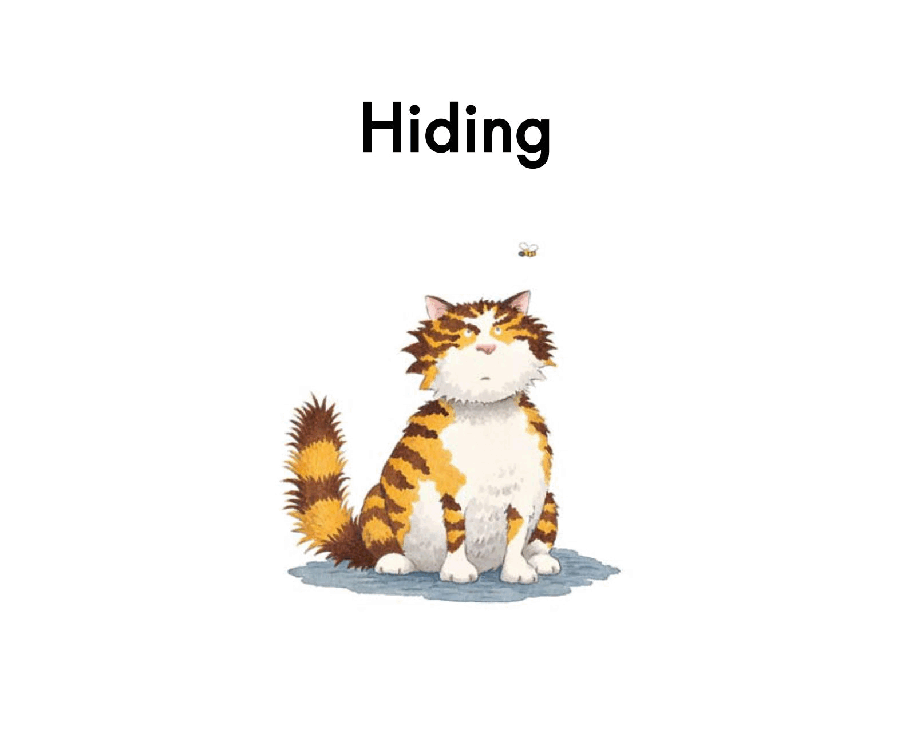 英国海尼曼GK级英语启蒙绘本039Hiding.pdf,第3页预览