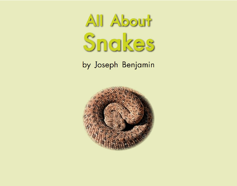 英国海尼曼G2级英语启蒙绘本30 All About Snakes.pdf,第3页预览