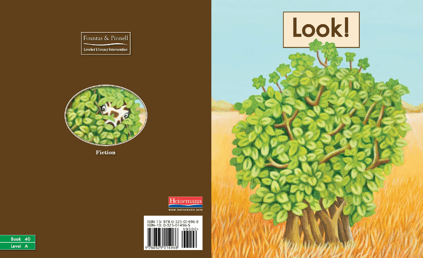 英国海尼曼G1级英语启蒙绘本40 Look.pdf,第1页预览