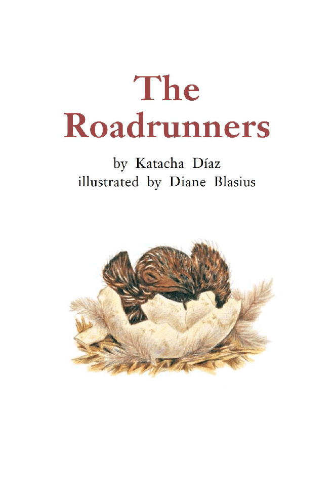 英国海尼曼G2级英语启蒙绘本103 The Roadrunners.pdf,第3页预览
