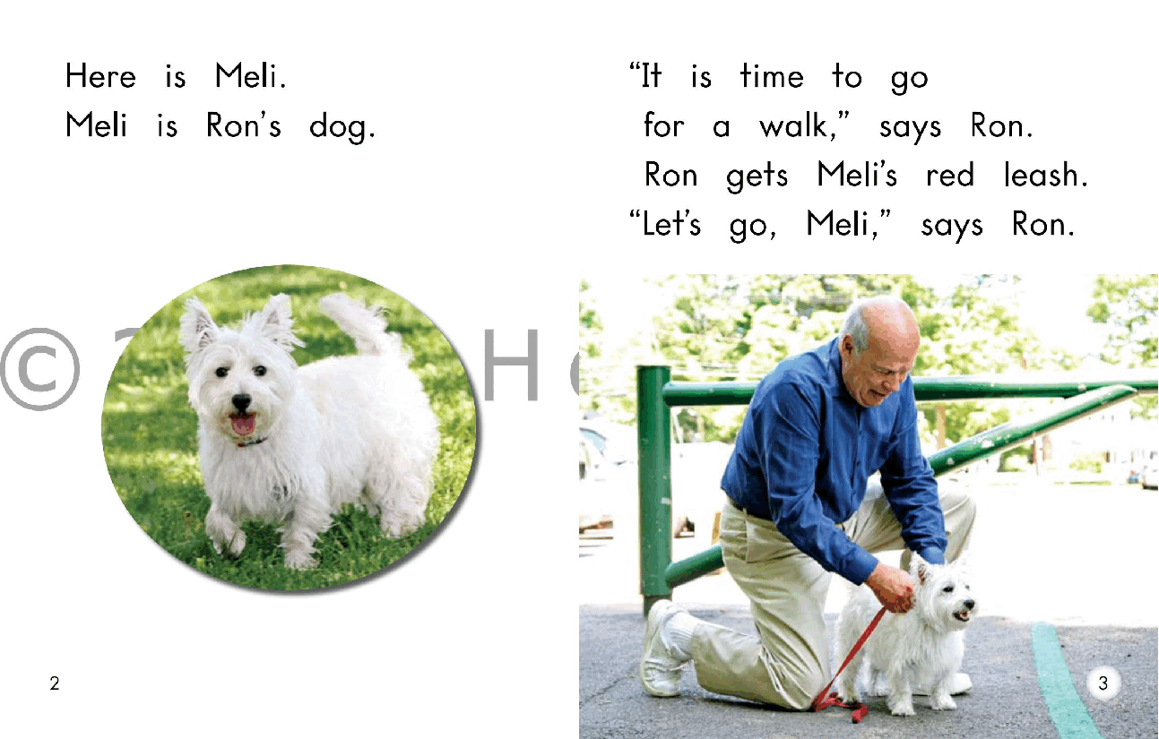 英国海尼曼G1级英语启蒙绘本59 A Walk With Meli.pdf,第4页预览