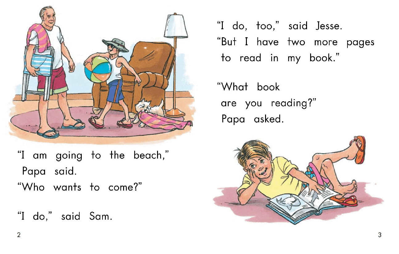 英国海尼曼G2级英语启蒙绘本47 At The Beach.pdf,第4页预览