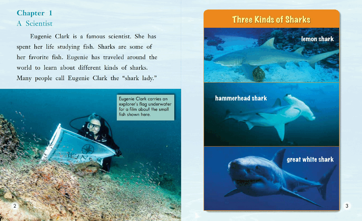 英国海尼曼G2级英语启蒙绘本117 Eugenie Clark Shark Lady.pdf,第4页预览