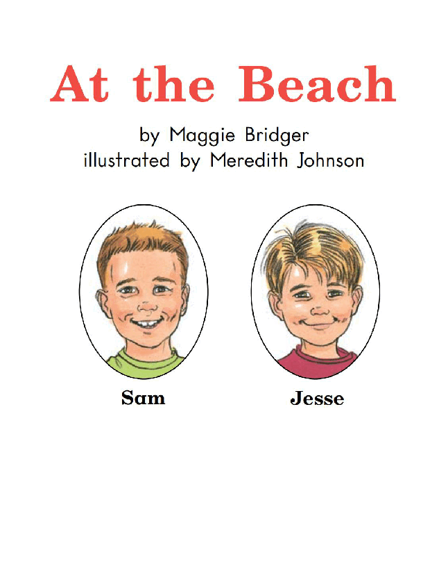 英国海尼曼G2级英语启蒙绘本47 At The Beach.pdf,第3页预览