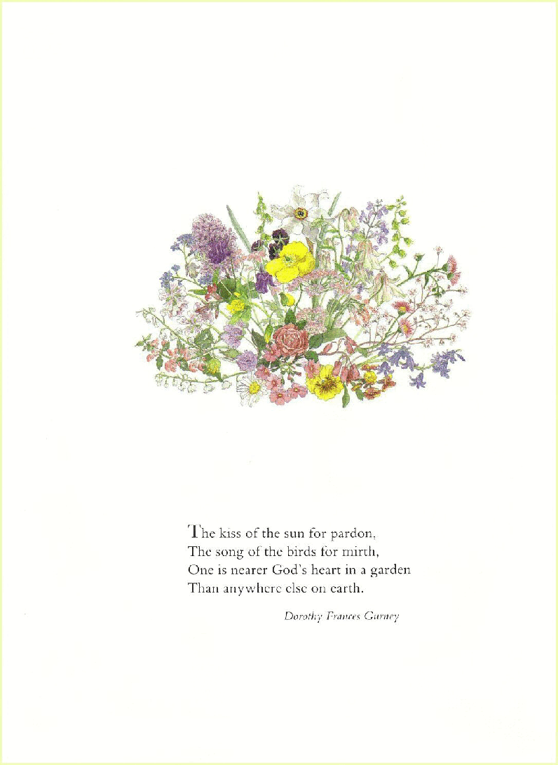 高清彩绘英文原版绘本Rosy's Garden.pdf,第3页预览
