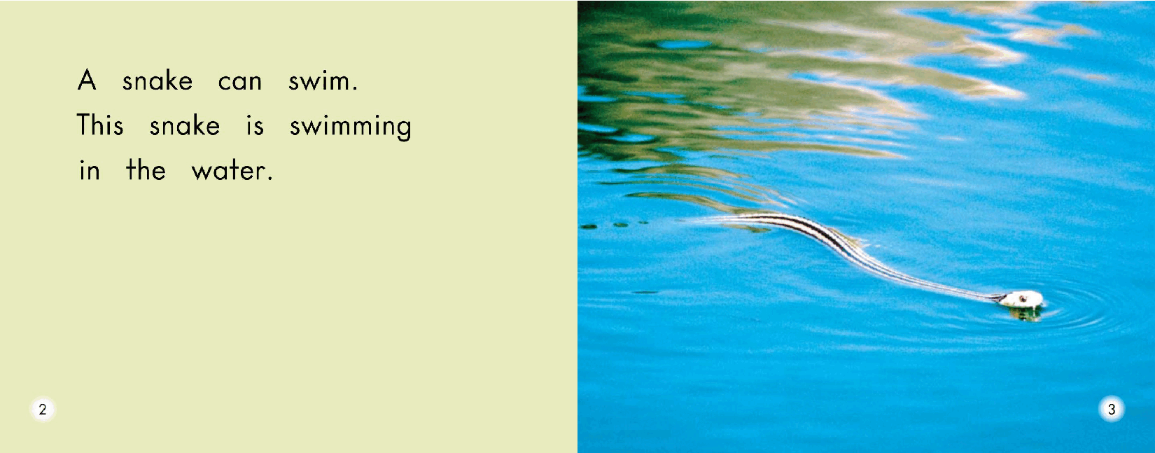 英国海尼曼G2级英语启蒙绘本30 All About Snakes.pdf,第4页预览