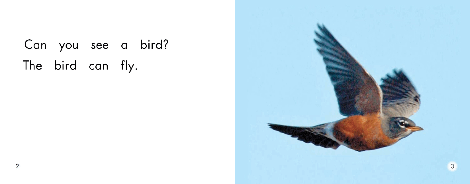 英国海尼曼G2级英语启蒙绘本2 Things That Fly.pdf,第4页预览