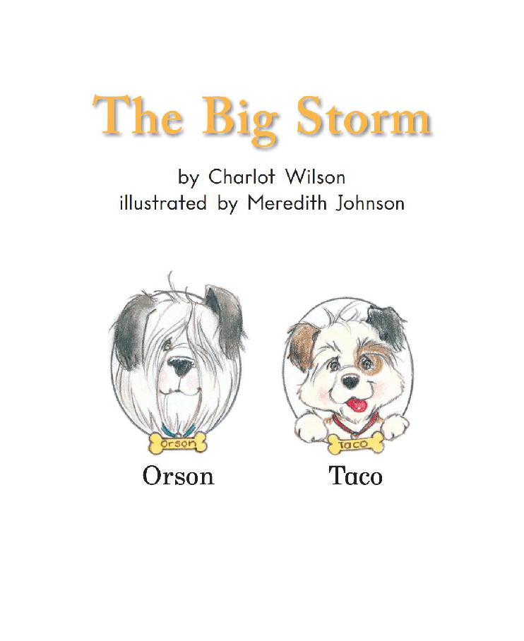 英国海尼曼G1级英语启蒙绘本69 The Big Storm.pdf,第3页预览
