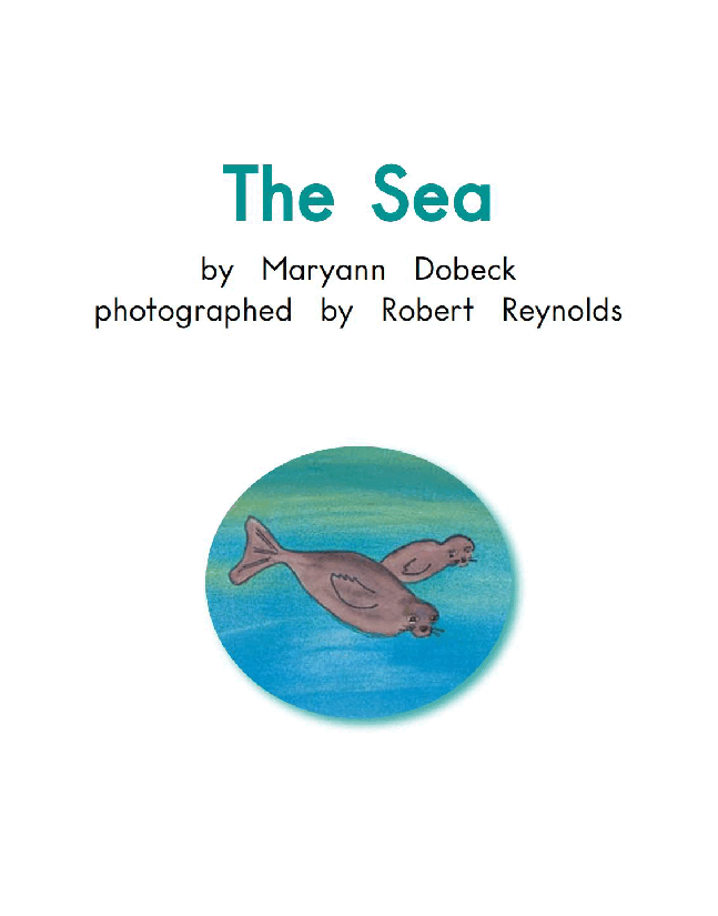 英国海尼曼G2级英语启蒙绘本3 The Sea.pdf，第3页预览