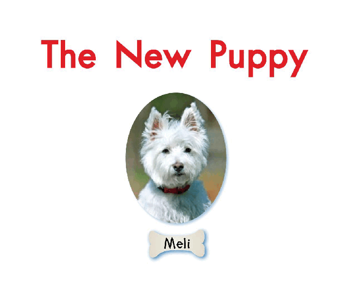 英国海尼曼G1级英语启蒙绘本03 The New Puppy.pdf,第3页预览