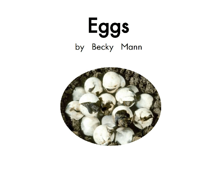 英国海尼曼G1级英语启蒙绘本08 Eggs.pdf,第3页预览