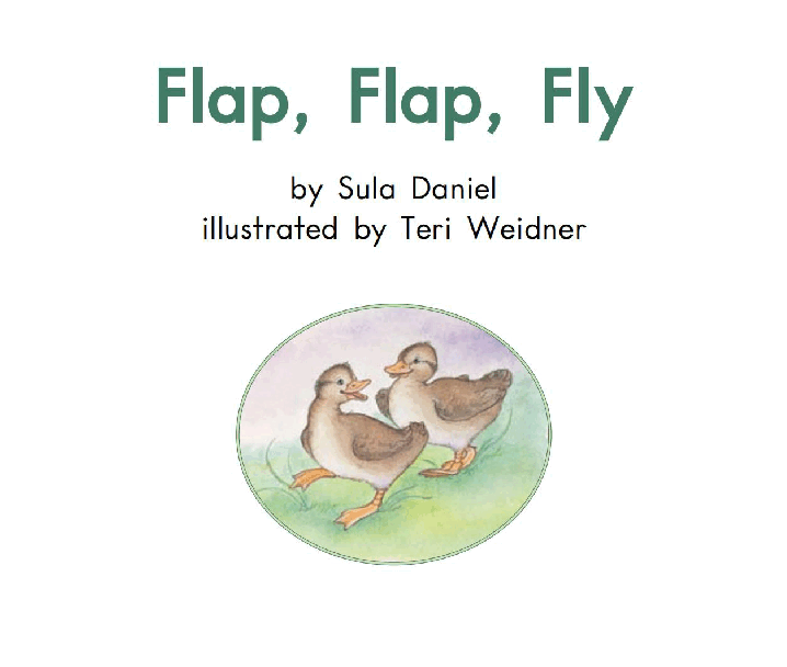 英国海尼曼GK级英语启蒙绘本059FlapFlapFly.pdf,第3页预览