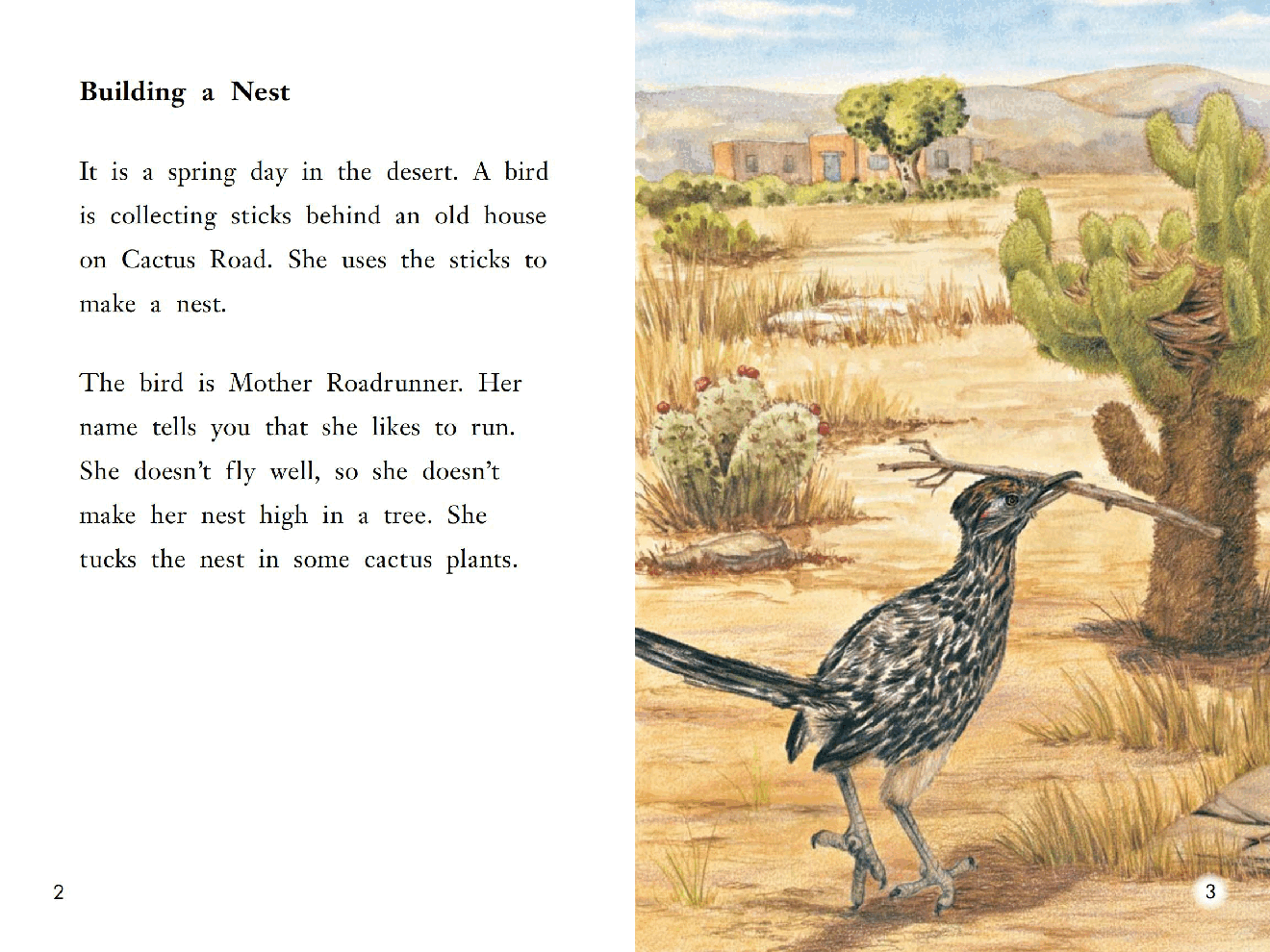 英国海尼曼G2级英语启蒙绘本103 The Roadrunners.pdf,第4页预览