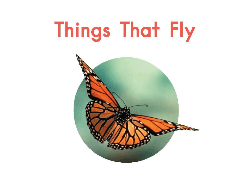 英国海尼曼G2级英语启蒙绘本2 Things That Fly.pdf,第3页预览