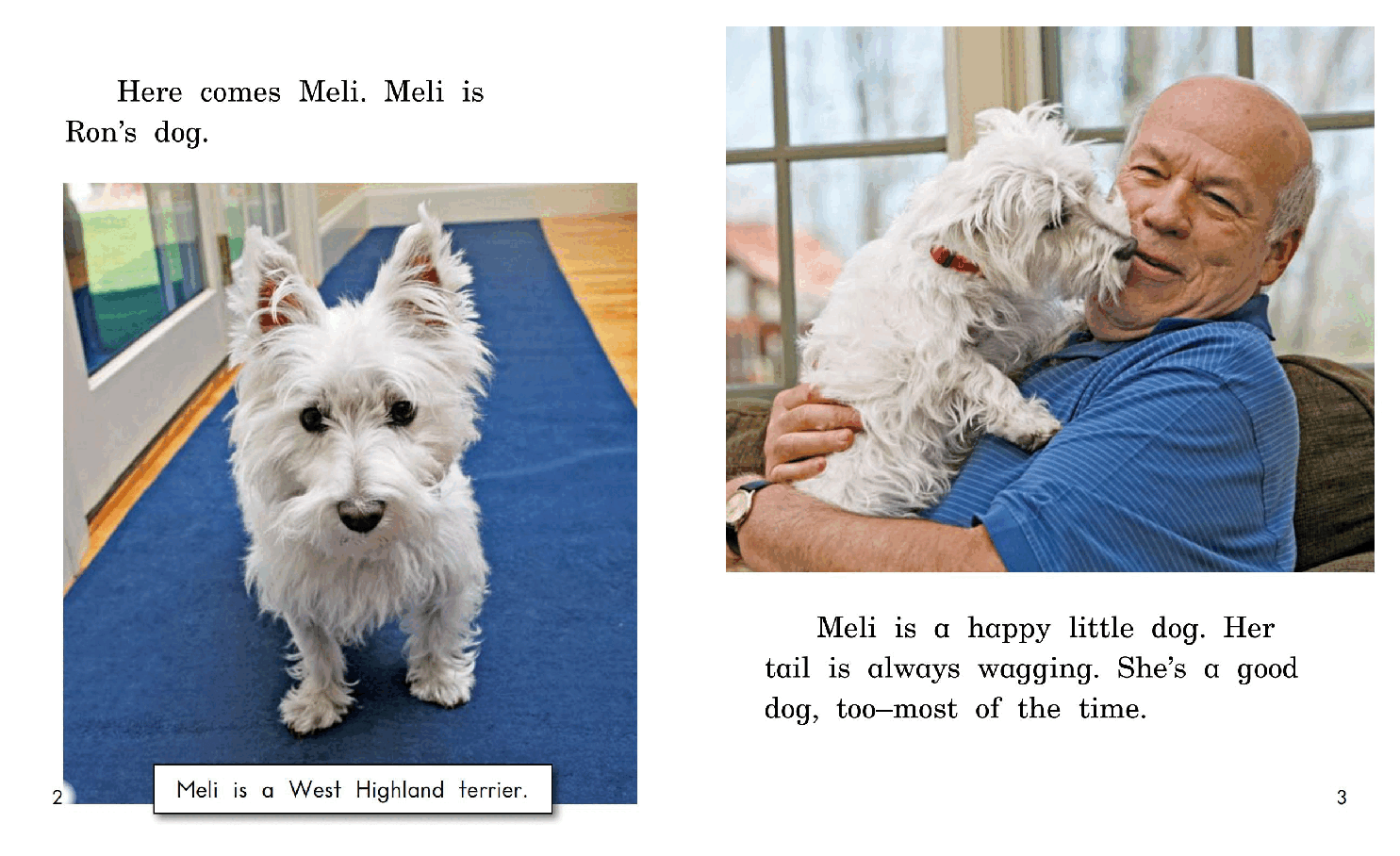 英国海尼曼G2级英语启蒙绘本71 The Problem With Meli.pdf，第4页预览
