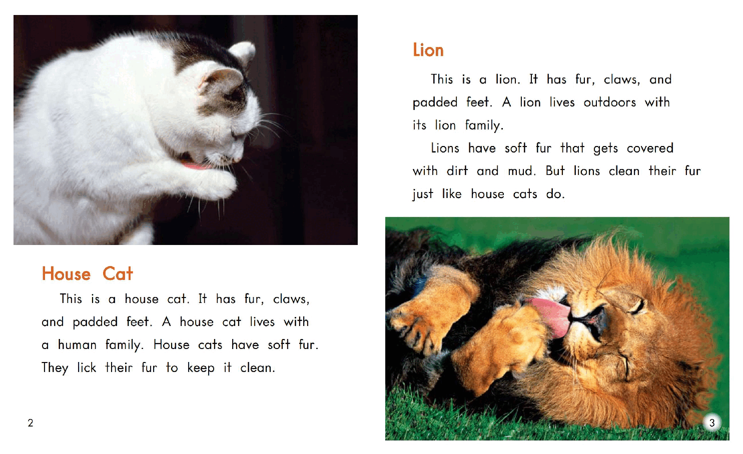 英国海尼曼G2级英语启蒙绘本97 Little Cat,Big Cat.pdf,第4页预览