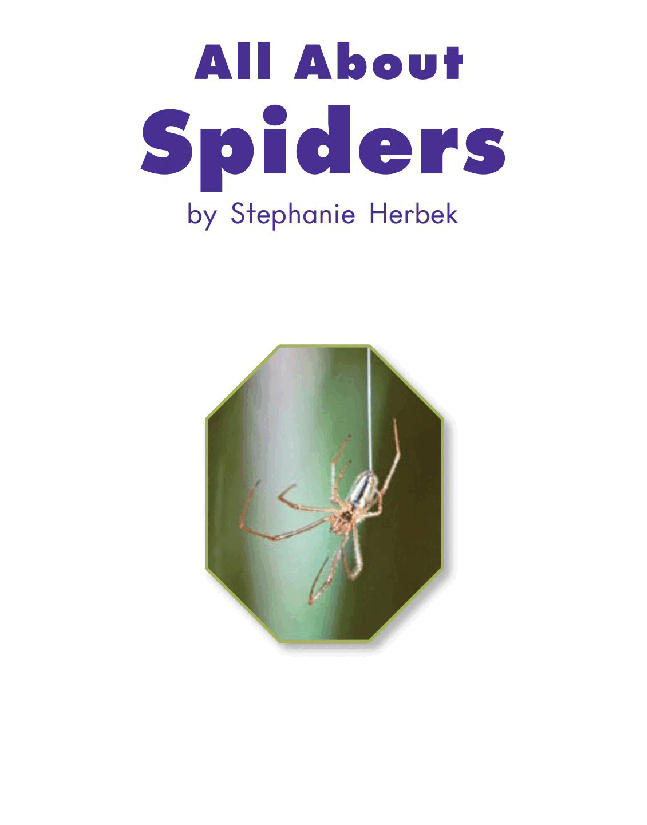 英国海尼曼G2级英语启蒙绘本74 All About Spiders.pdf,第3页预览