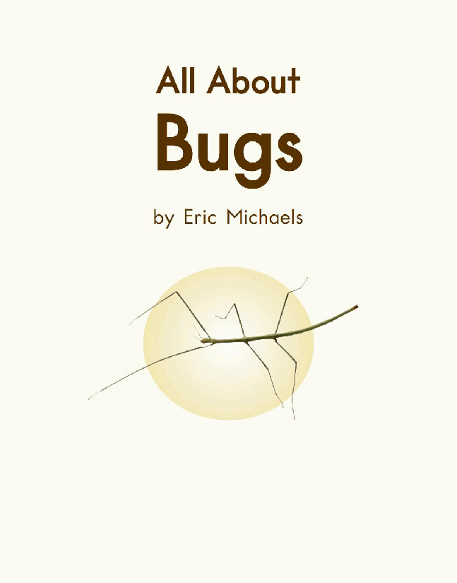 英国海尼曼G2级英语启蒙绘本60 All About Bugs.pdf,第3页预览