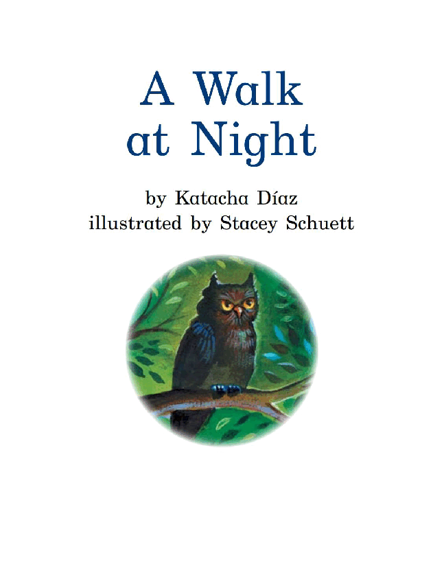 英国海尼曼G1级英语启蒙绘本100 A Walk At Night.pdf,第3页预览