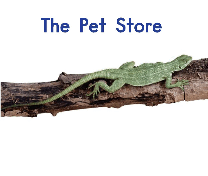 英国海尼曼GK级英语启蒙绘本036ThePetStore.pdf,第3页预览