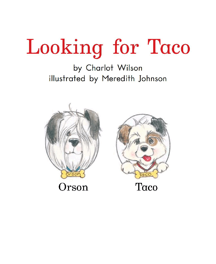 英国海尼曼G1级英语启蒙绘本33 Looking For Taco.pdf,第3页预览