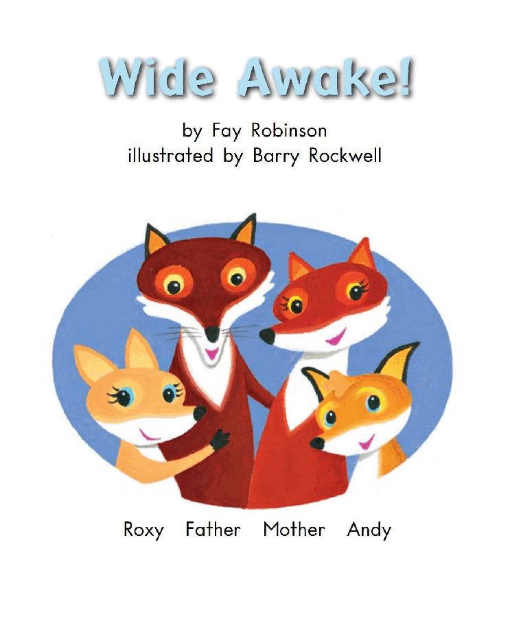 英国海尼曼G2级英语启蒙绘本76 Wide Awake!.pdf,第3页预览
