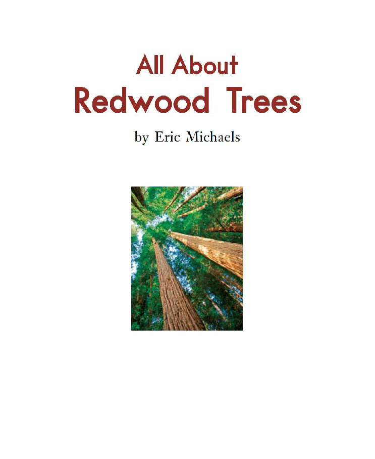 英国海尼曼G2级英语启蒙绘本86 All About Red wood Trees.pdf,第3页预览