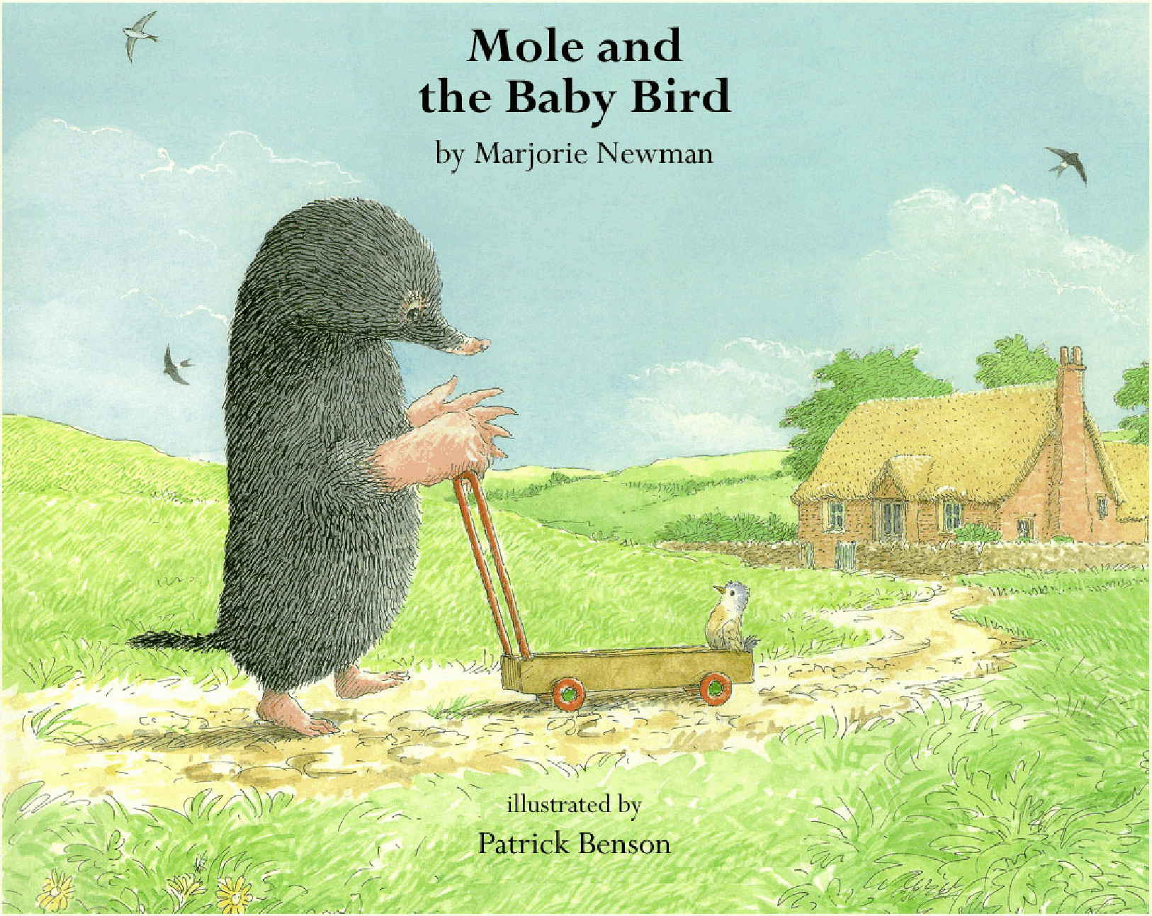 高清彩绘英文原版绘本Mole and Baby Bird.pdf,第1页预览