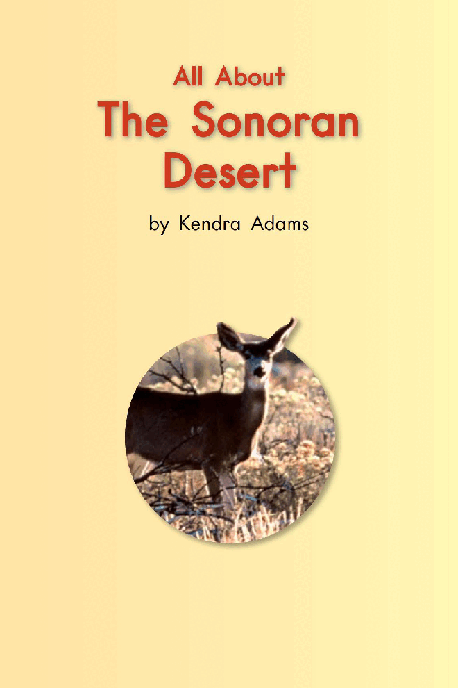 英国海尼曼G2级英语启蒙绘本77 All About the Sonoran Desert.pdf,第3页预览