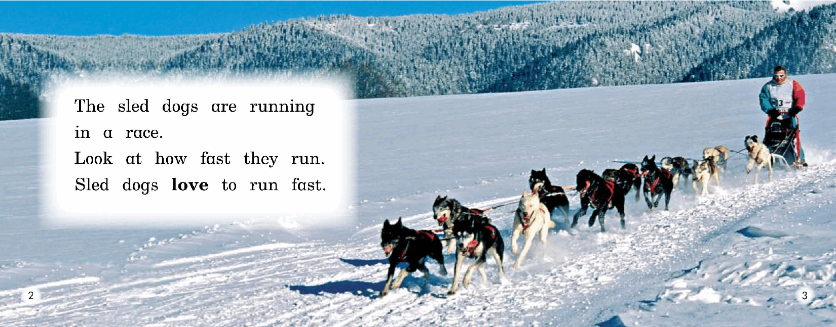 英国海尼曼G2级英语启蒙绘本53 All About Sled Dogs.pdf,第4页预览