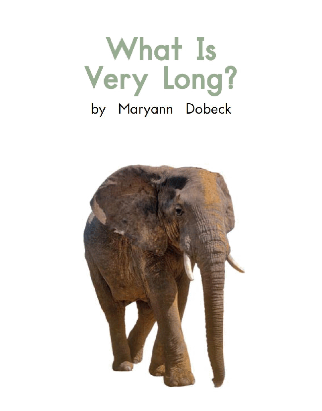 英国海尼曼GK级英语启蒙绘本053WhatIsVeryLong.pdf,第3页预览