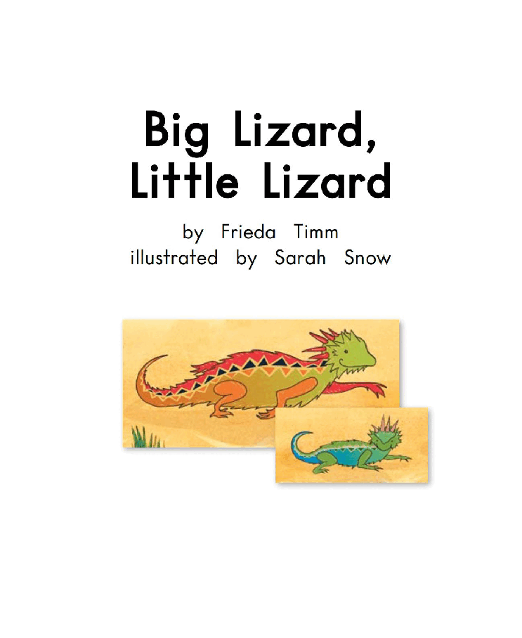 英国海尼曼G2级英语启蒙绘本9 Big Lizard Little Lizard.pdf,第3页预览