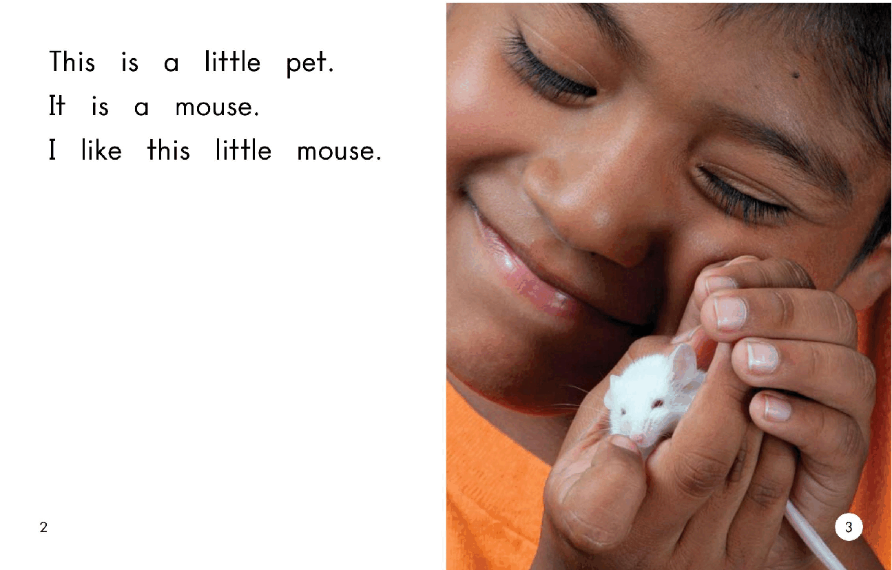英国海尼曼GK级英语启蒙绘本055OurPets.pdf,第4页预览