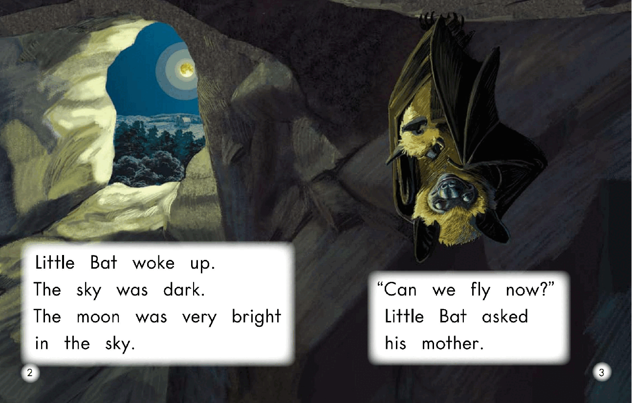 英国海尼曼G2级英语启蒙绘本27 Little Bat.pdf,第4页预览