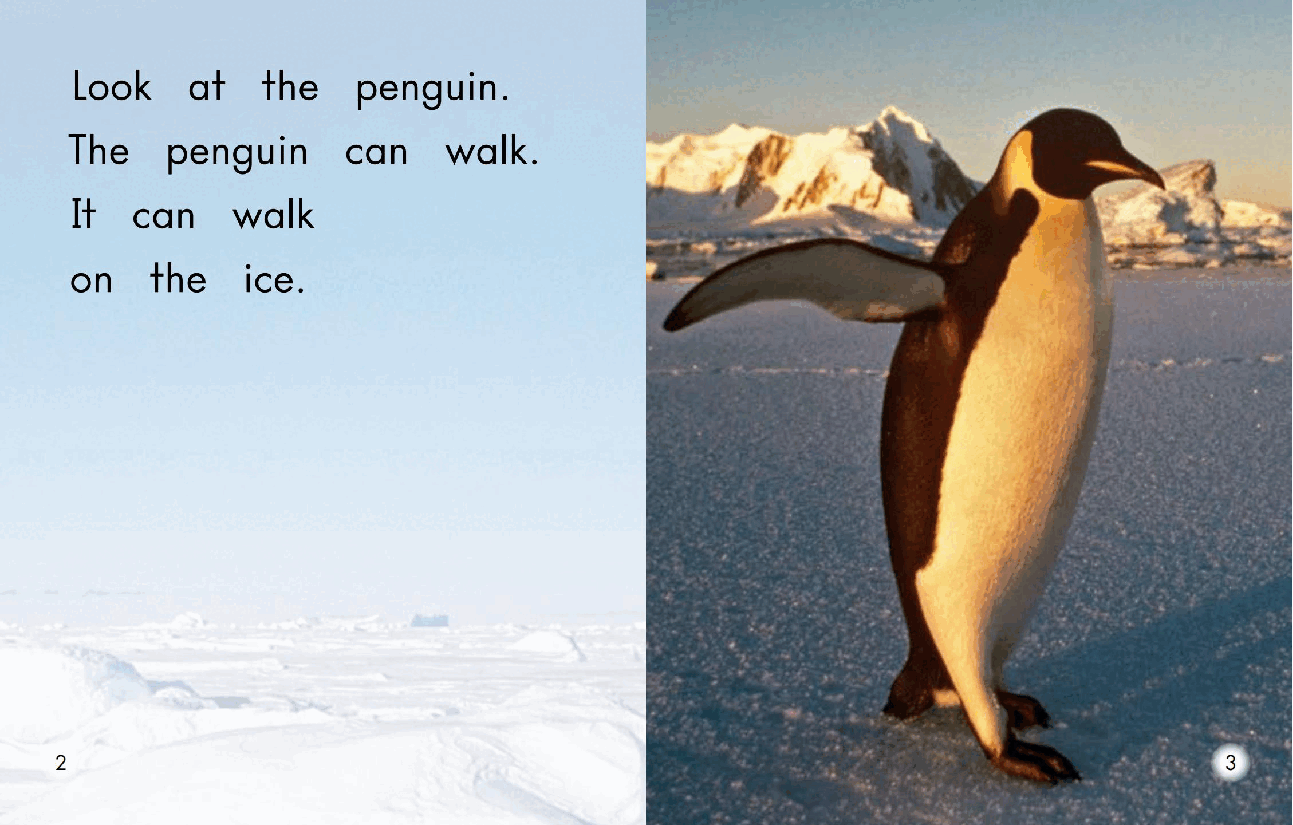 英国海尼曼G2级英语启蒙绘本7 All About Penguins.pdf,第4页预览