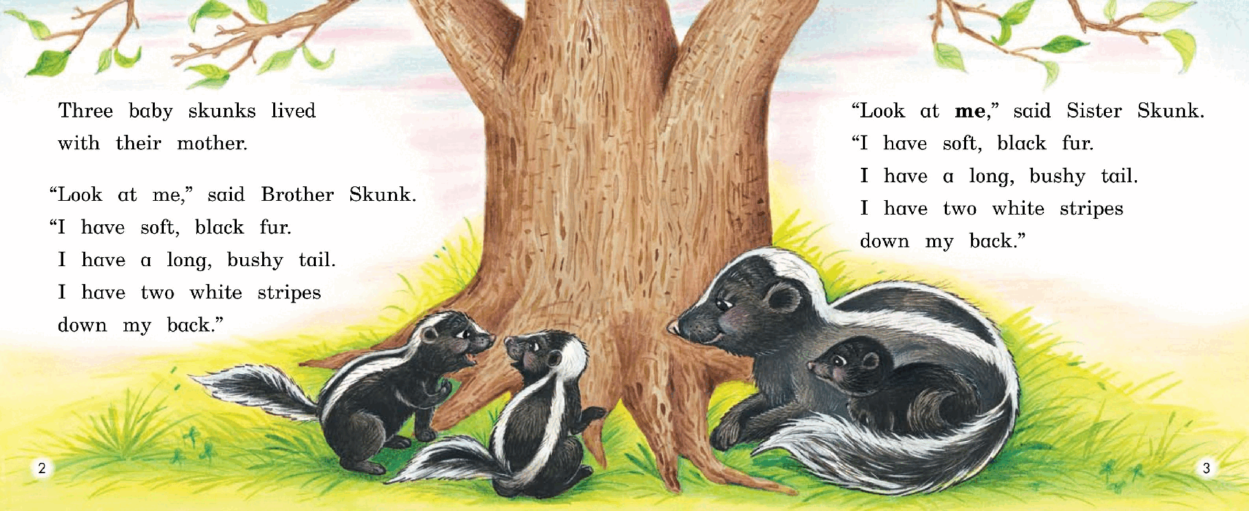 英国海尼曼G1级英语启蒙绘本81 The Skunk With No Stripes.pdf，第4页预览