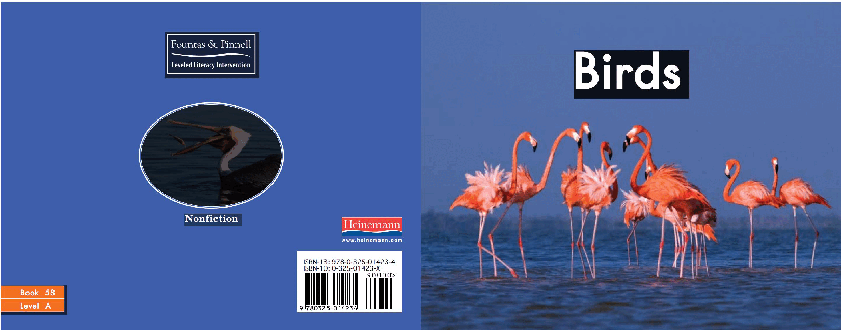英国海尼曼GK级英语启蒙绘本058Birds.pdf,第1页预览
